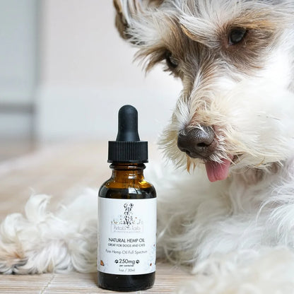 CBD Oil for Dogs